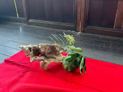 達磨堂 円福寺 (京都府)