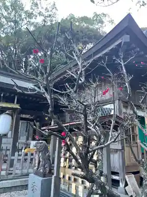 一宮神社の自然