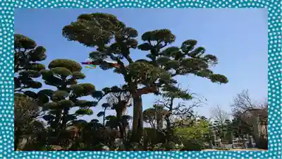 能蔵院(千葉県)