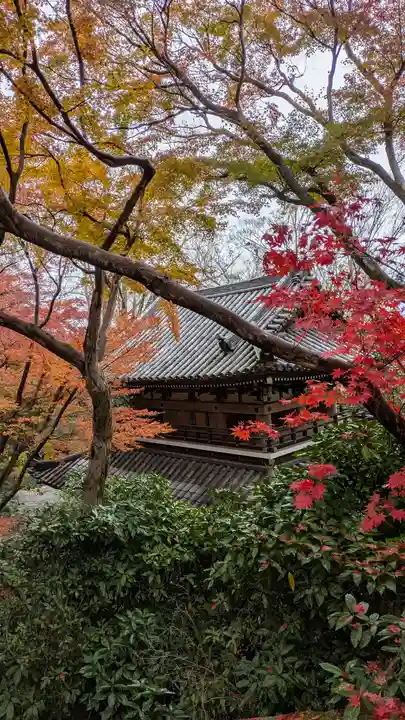 観音寺(山崎聖天)(京都府)