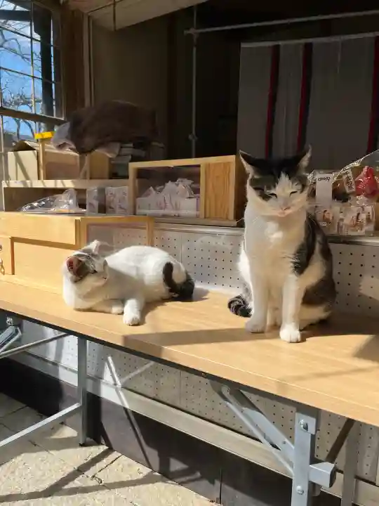 お松大権現の{uncategorized: "未分類", other: "その他", undefined: "問題あり", building: "その他建物", grave: "お墓", sacred_gate: "鳥居", guardian: "狛犬", statue: "像", buddha: "仏像", history: "歴史", nature: "自然", garden: "庭園", animal: "動物", pagoda: "塔", temizu: "手水舎", mountain_gate: "山門・神門", sanctuary: "本殿・本堂", subordinate: "末社・摂社", art: "芸術", scenery: "景色", jizo: "地蔵", ema: "絵馬", goshuin: "御朱印", omikuji: "おみくじ", items: "授与品その他", amulet: "お守り", goshuincho: "御朱印帳", eats: "食事", festival: "お祭り", votive_dance: "神楽", shichigosan: "七五三参", wedding: "結婚式", experience: "体験その他", initially: "初詣", around: "周辺", anti_infection: "感染症対策"}