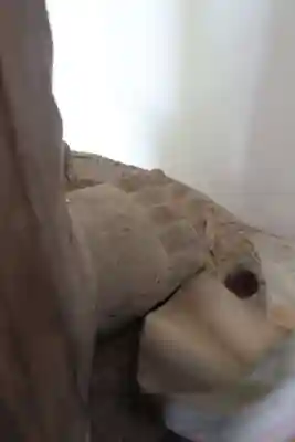 妙観寺(奈良県)