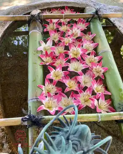 立志神社(滋賀県)