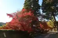 永保寺(岐阜県)