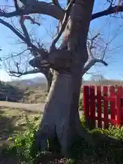 大藪稲荷神社(神奈川県)