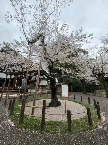 靖國神社の{uncategorized: "未分類", other: "その他", undefined: "問題あり", building: "その他建物", grave: "お墓", sacred_gate: "鳥居", guardian: "狛犬", statue: "像", buddha: "仏像", history: "歴史", nature: "自然", garden: "庭園", animal: "動物", pagoda: "塔", temizu: "手水舎", mountain_gate: "山門・神門", sanctuary: "本殿・本堂", subordinate: "末社・摂社", art: "芸術", scenery: "景色", jizo: "地蔵", ema: "絵馬", goshuin: "御朱印", omikuji: "おみくじ", items: "授与品その他", amulet: "お守り", goshuincho: "御朱印帳", eats: "食事", festival: "お祭り", votive_dance: "神楽", shichigosan: "七五三参", wedding: "結婚式", experience: "体験その他", initially: "初詣", around: "周辺", anti_infection: "感染症対策"}