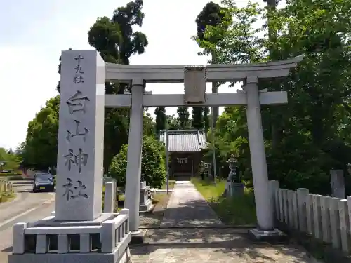 白山神社（十九社）の{uncategorized: "未分類", other: "その他", undefined: "問題あり", building: "その他建物", grave: "お墓", sacred_gate: "鳥居", guardian: "狛犬", statue: "像", buddha: "仏像", history: "歴史", nature: "自然", garden: "庭園", animal: "動物", pagoda: "塔", temizu: "手水舎", mountain_gate: "山門・神門", sanctuary: "本殿・本堂", subordinate: "末社・摂社", art: "芸術", scenery: "景色", jizo: "地蔵", ema: "絵馬", goshuin: "御朱印", omikuji: "おみくじ", items: "授与品その他", amulet: "お守り", goshuincho: "御朱印帳", eats: "食事", festival: "お祭り", votive_dance: "神楽", shichigosan: "七五三参", wedding: "結婚式", experience: "体験その他", initially: "初詣", around: "周辺", anti_infection: "感染症対策"}