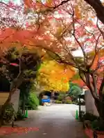 高円寺(東京都)