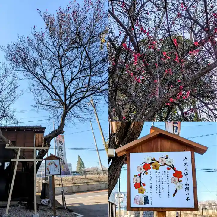 大宮・大原神社の自然