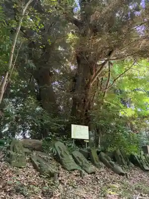 正福寺(千葉県)