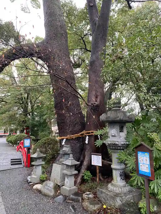 米之宮浅間神社(静岡県)
