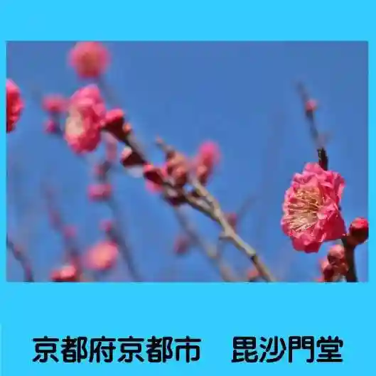 毘沙門堂門跡の自然