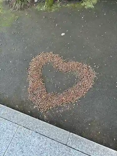 進雄神社(群馬県)