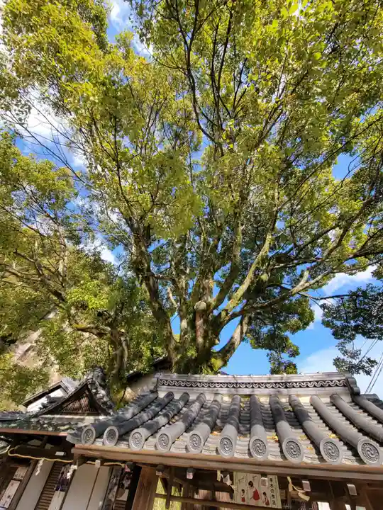祇園神社(兵庫県)