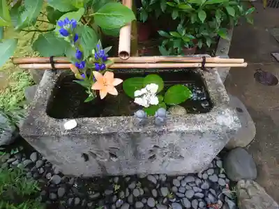 宝蔵寺(京都府)