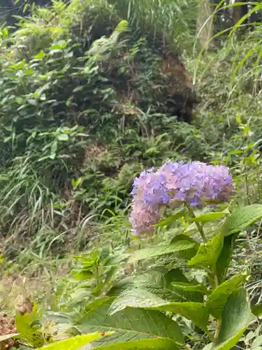 普門寺(切り絵御朱印発祥の寺)の自然