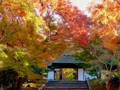 安楽寺(京都府)