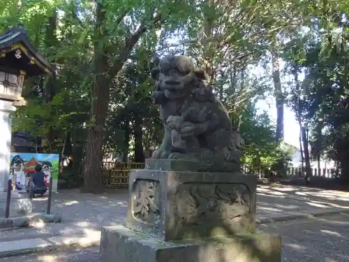 世田谷八幡宮の狛犬