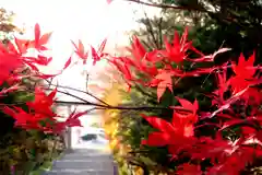 上川神社の自然