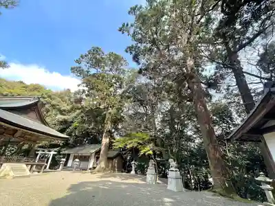 杉之木神社(滋賀県)