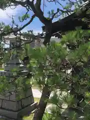 白山神社(福井県)