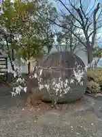 萬寿神社(柏屋本店願掛け萬寿石)(福島県)