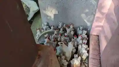 金刀比羅神社(千葉県)