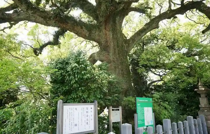 観音寺(愛知県)