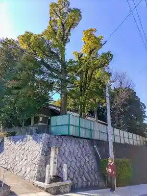 正及神社の自然