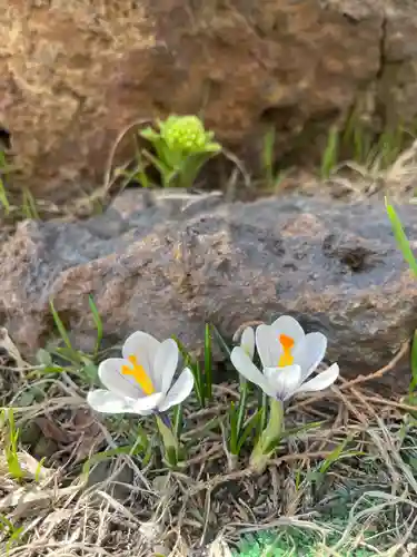 宝壽山 吉祥院の自然