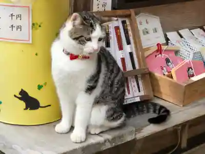 お松大権現の動物