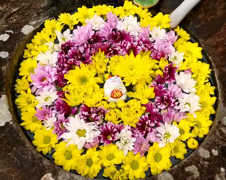 真言宗 善通寺派 薬王寺(香川県)