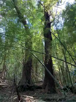 神社跡(千葉県)