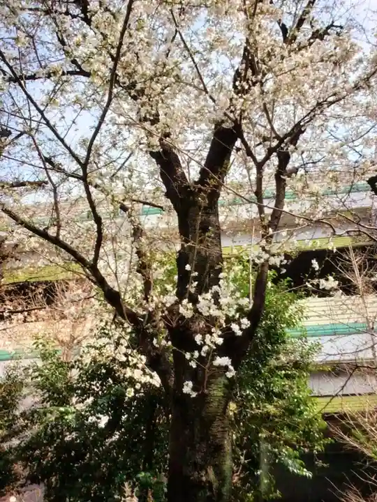 くまくま神社(導きの社 熊野町熊野神社)(東京都)