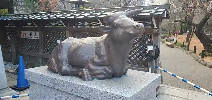 湯島天満宮の狛犬