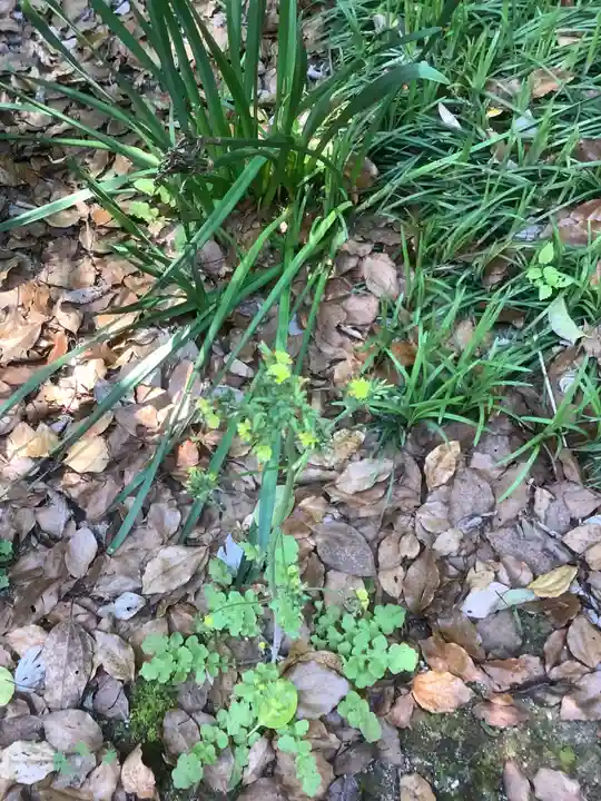 堤治神社の自然