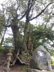 白山神社(福井県)