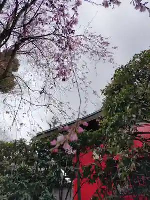 宝勝山　南藏院   蓮光寺の末社・摂社