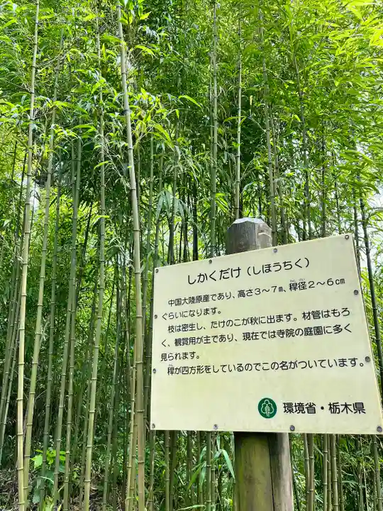 西明寺(栃木県)