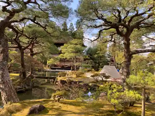 慈照寺（慈照禅寺・銀閣寺）の庭園