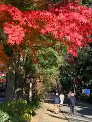 武蔵一宮氷川神社(埼玉県)