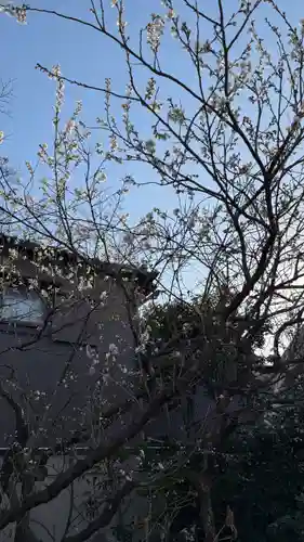 元興寺(奈良県)