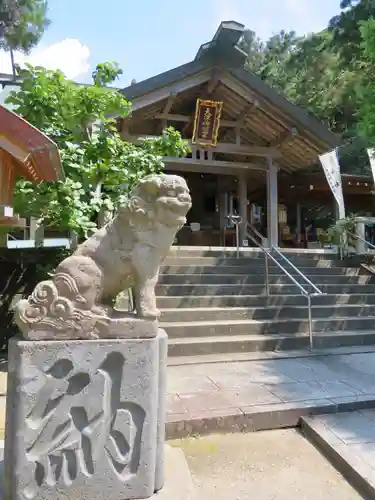 天津神明宮の狛犬