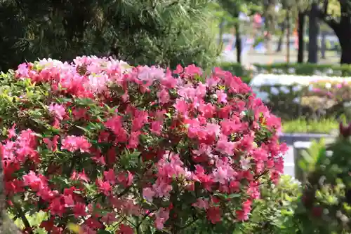 開成山大神宮の庭園