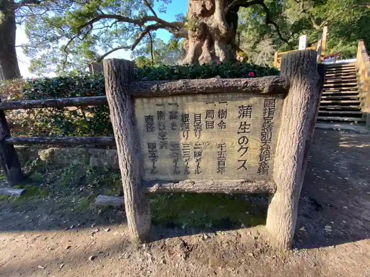蒲生八幡神社のその他建物