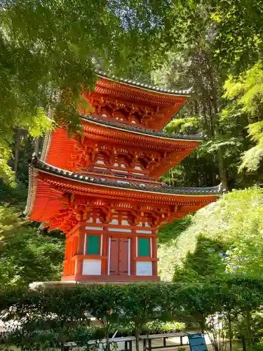 岩船寺の{uncategorized: "未分類", other: "その他", undefined: "問題あり", building: "その他建物", grave: "お墓", sacred_gate: "鳥居", guardian: "狛犬", statue: "像", buddha: "仏像", history: "歴史", nature: "自然", garden: "庭園", animal: "動物", pagoda: "塔", temizu: "手水舎", mountain_gate: "山門・神門", sanctuary: "本殿・本堂", subordinate: "末社・摂社", art: "芸術", scenery: "景色", jizo: "地蔵", ema: "絵馬", goshuin: "御朱印", omikuji: "おみくじ", items: "授与品その他", amulet: "お守り", goshuincho: "御朱印帳", eats: "食事", festival: "お祭り", votive_dance: "神楽", shichigosan: "七五三参", wedding: "結婚式", experience: "体験その他", initially: "初詣", around: "周辺", anti_infection: "感染症対策"}
