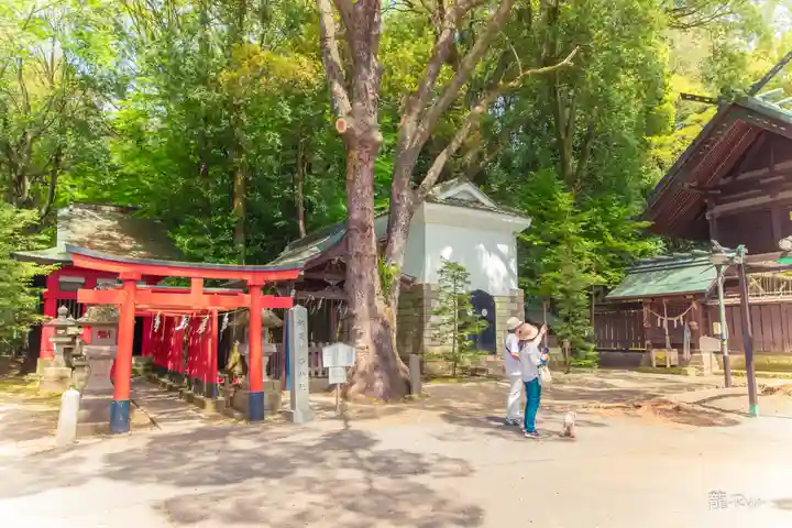 宇都宮二荒山神社(栃木県)