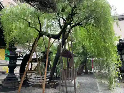 頂法寺（六角堂）(京都府)