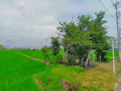 行燈之宮（賣夫神社境内社）の自然