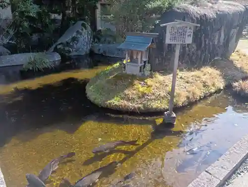 岐阜護國神社(岐阜県)